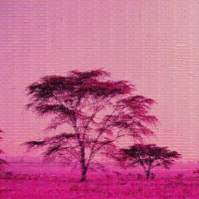 Pink African Savannah Background - png ฟรี