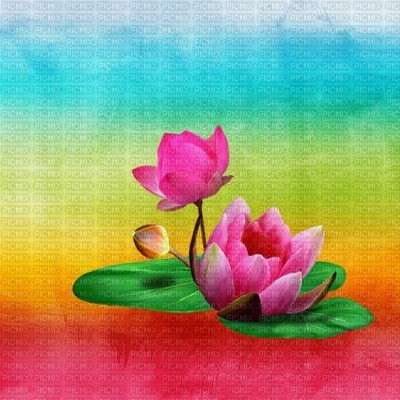 multicolore image encre couleur fleurs lotus arc en ciel printemps texture edited by me - 免费PNG