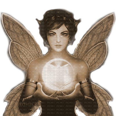 Y.A.M._Fantasy fairy Sepia - Free PNG