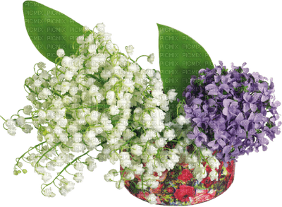 flowers lily of the valley bp - Free PNG