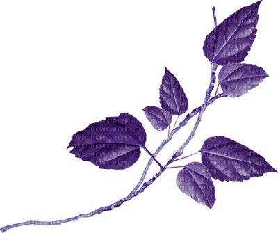 Kaz_Creations Deco Scrap Colours Leaves Leafs Purple - Free PNG