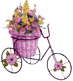 Basket of Flowers on Bicycle - Δωρεάν κινούμενο GIF