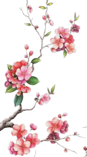 branche fleurie - nemokama png