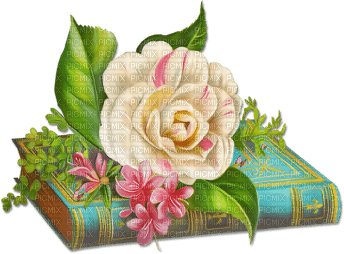 soave deco vintage book flowers rose green pink - PNG gratuit