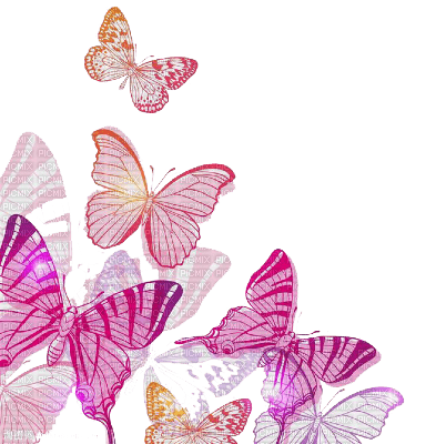 butterflies  Bb2 - Free PNG