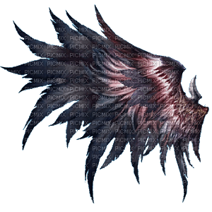 wing - Free PNG