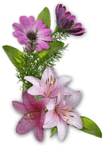 Flowers - png gratis