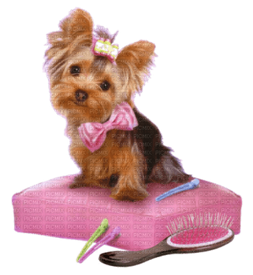 Kaz_Creations Cute Dog Pup Deco - Free PNG