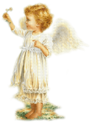dolceluna baby angel vintage - gratis png