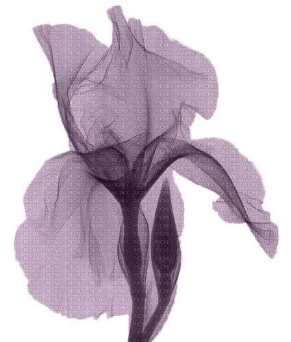 blume flowers lila - gratis png