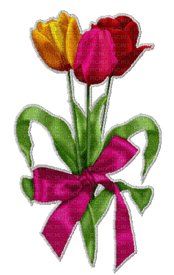 Frühling spring printemps tulipes - Безплатен анимиран GIF