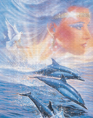 la femme et les dauphins - GIF animé gratuit