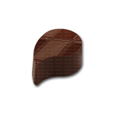 Chocolate Brown  - Bogusia - gratis png