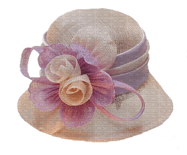 hat cappello laurachan - zadarmo png