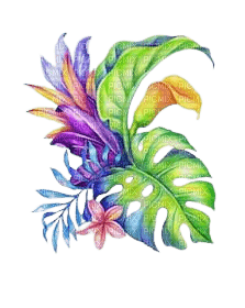 kikkapink deco summer tropical leaves - δωρεάν png