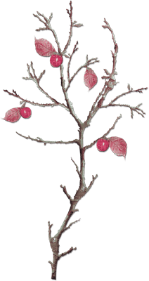 soave deco autumn scrap tree apple pink green - PNG gratuit