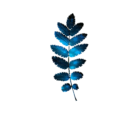 Leaf Leaves Deco White Blue Gif Jitter.Bug.Girl - Бесплатный анимированный гифка