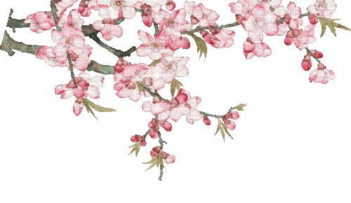 Y.A.M._Spring Flowers Decor - Kostenlose animierte GIFs