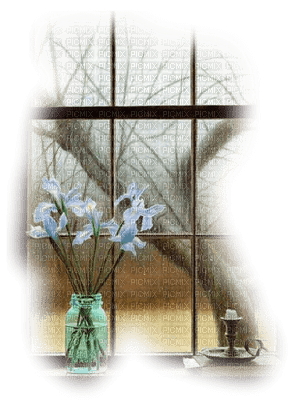 Kaz_Creations Deco Flowers Flower Colours Window - 無料png