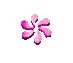 Pink spinning flower - GIF animado gratis