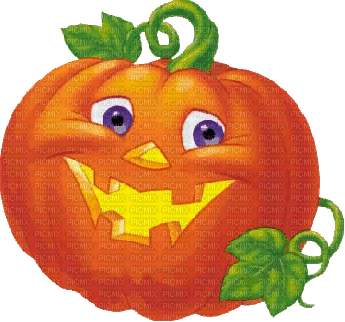 pumpkin - GIF animado grátis