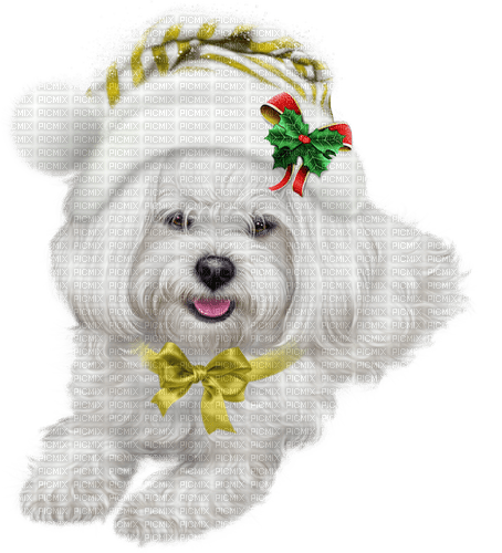 loly33 chien noël - 免费PNG