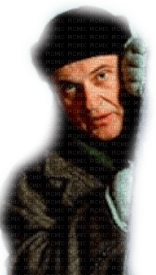 home alone the wet bandits - bezmaksas png