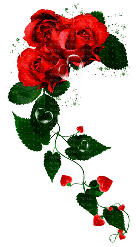 Roses.Red - darmowe png