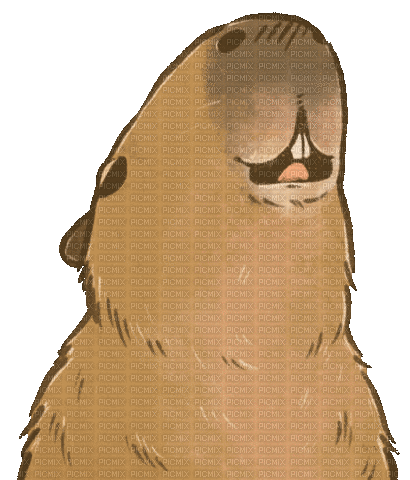 Rodent Capybara - GIF animado gratis