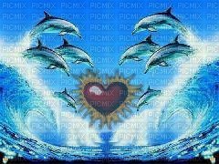dauphins - фрее пнг