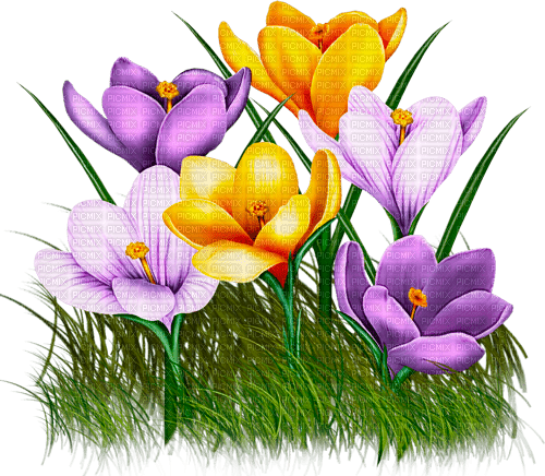 Y.A.M._Spring Flowers Decor - фрее пнг