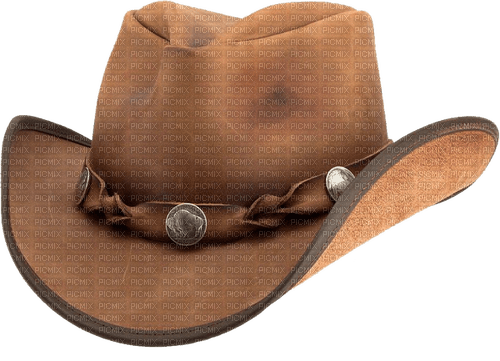 cowboy hat sunshine3