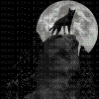 Lobo - Free animated GIF