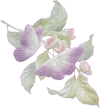 fleur blanche.Cheyenne63 - Gratis animerad GIF