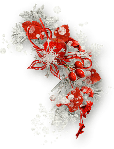 Christmas.Winter.Cluster.White.Red,Gray - ilmainen png