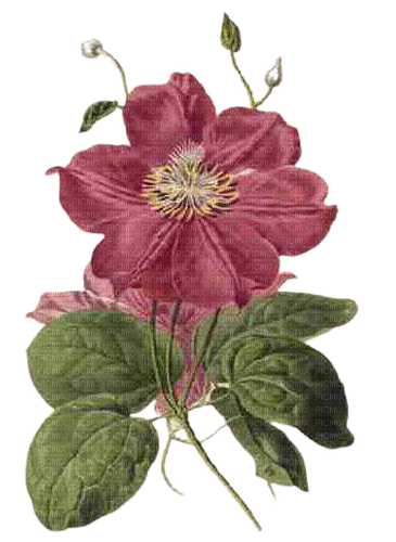 kikkapink deco spring summer flower watercolor - ücretsiz png