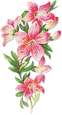 soave deco spring branch flowers vintage pink - PNG gratuit