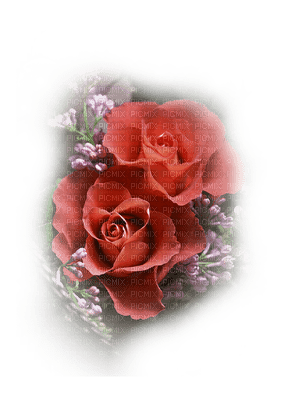patymirabelle fleurs - бесплатно png