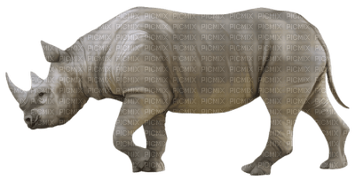 Kaz_Creations Animals Rhino - nemokama png