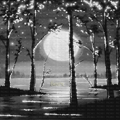 Y.A.M._Art Landscape black-white - Zdarma animovaný GIF