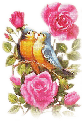 soave deco bird vintage branch flowers e yellow - zdarma png