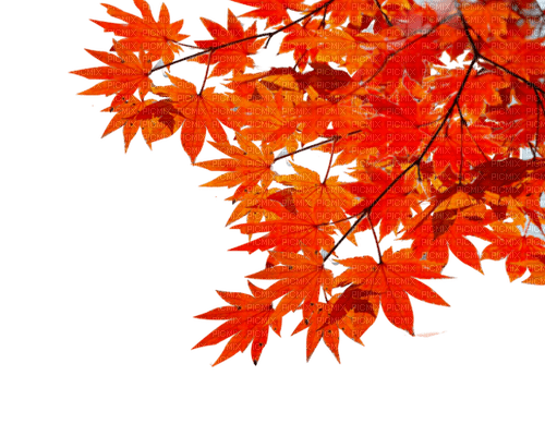 autumn  Bb2 - png grátis