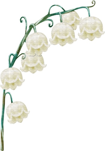 lily of the valley Bb2 - Free PNG