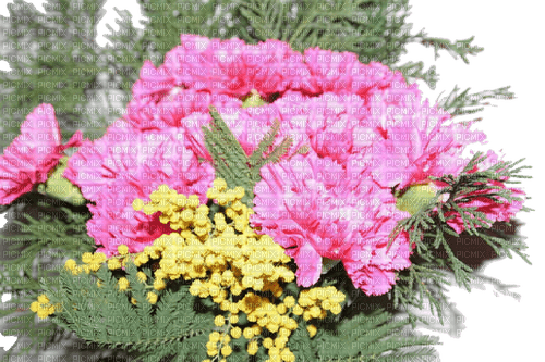 charmille _ fleurs - бесплатно png