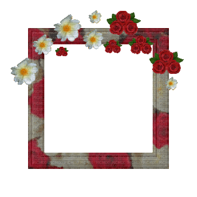 Small Red/White Frame - Bezmaksas animēts GIF
