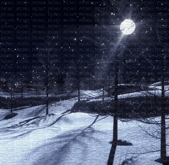 Winter.Hiver.Paysage.Landscape.Victoriabea - Animovaný GIF zadarmo