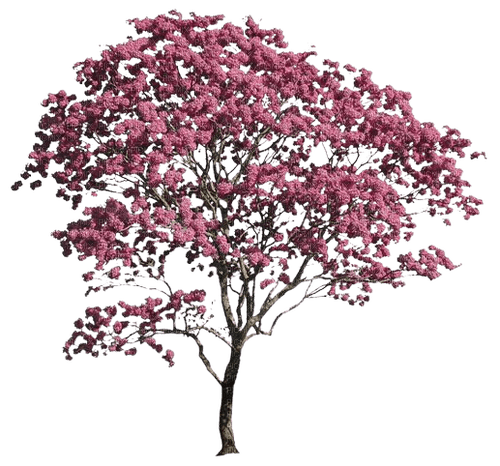 arbre - kostenlos png