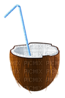 Kaz_Creations Deco Beach Summer Coconut Cocktail Drinks - 免费PNG