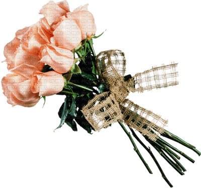 Kaz_Creations Deco Flowers Bouquet Colours - zdarma png