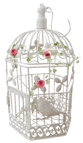 Cage Oiseaux Blanc Rose:) - gratis png